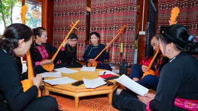 वो नहाई में ताई और नुंग जातीय समूहों के सांस्कृतिक विरासत मूल्यों के प्रसार में योगदान दें