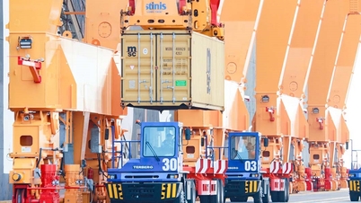 [VIMC 40 days of lightning speed] Hai Phong Port determined to break through, reaching the target of 2 million TEUs by 2025