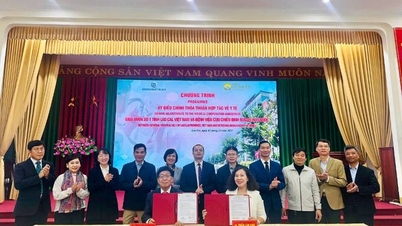 Delegation från Busan Veterans Hospital (Korea) besökte och arbetade i Lao Cai-provinsen