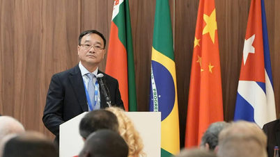 Vietnam a směřování protiteroristické spolupráce v rámci BRICS