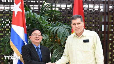 ៦៥ឆ្នាំនៃទំនាក់ទំនងវៀតណាម-គុយបា៖ បន្តពង្រឹងកិច្ចសហប្រតិបត្តិការទ្វេភាគី