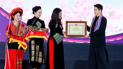 Trao Bằng khen cho đơn vị đồng hành Lễ hội hoa Tam giác mạch