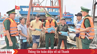 Preventing and combating IUU fishing - a never-ending task