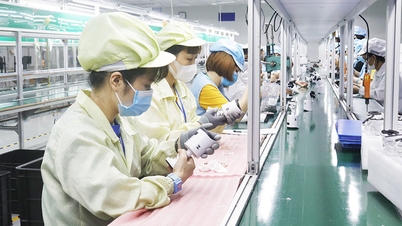 Bac Ninh ogłasza dane dotyczące średnich dochodów i PKB na poziomie gmin i okręgów w 2025 r.