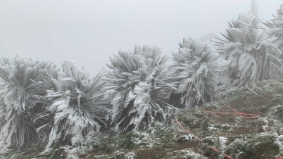 Studený vzduch sílí: V severní oblasti je chladno pod 12 stupňů Celsia, ve střední oblasti silné deště.