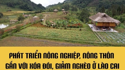 อินโฟกราฟิก: การพัฒนาการเกษตรและชนบทที่เกี่ยวข้องกับการขจัดความหิวโหยและการลดความยากจนในลาวไก