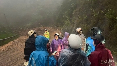 لام ڈونگ میں رات بھر بارش، لینڈ سلائیڈنگ، رات کو گہرا سیلاب