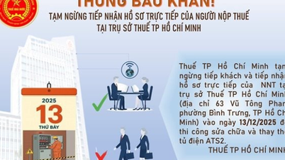 Ho Chi Minh City urgently announces the receipt of tax records