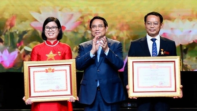 بنیادی ایمولیشن فائٹر کے عنوان کے لیے بونس کی سطح