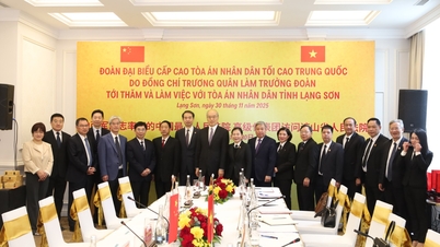 Une délégation de la Cour suprême populaire de Chine a visité et travaillé dans la province de Lang Son.