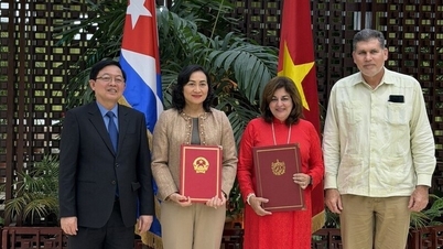 کیوبا میں نائب وزیر فان تھی تھانگ کی سرگرمیوں کا سلسلہ