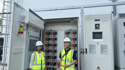 Vietnamul promovează producția ecologică prin intermediul bateriilor de stocare a energiei