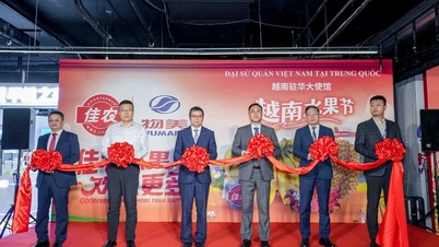 Stor mulighet for vietnamesiske varer til å akselerere eksporten til milliardmarkedet