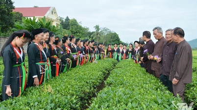 Zachowanie tradycyjnej kultury ludu San Diu