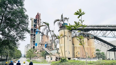 Οι επενδύσεις στην τεχνολογία δημιουργούν δυναμική για το τσιμέντο Tan Quang