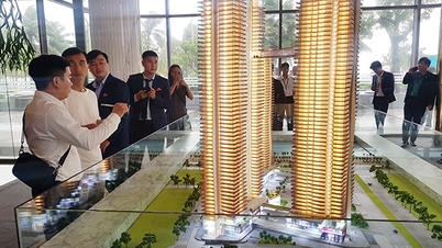 ອະສັງຫາລິມະຊັບສືບຕໍ່ແມ່ນຈຸດທີ່ສົດໃສໃນເສດຖະກິດຂອງນະຄອນດານັງ.