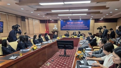 Collecte de 1 082 milliards de VND de taxe sur la valeur ajoutée sur les biens de faible valeur