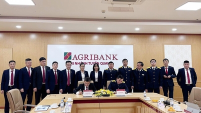 جامع ڈیجیٹل تبدیلی میں کاروباری گھرانوں کی مدد کے لیے تعاون کے معاہدے پر دستخط کرنا