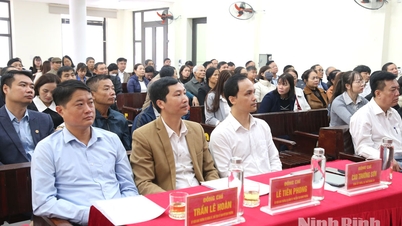 타이호아루 구는 "모두를 위한 디지털 리터러시" 운동을 시작하고 지역 디지털 기술 팀을 교육했습니다.