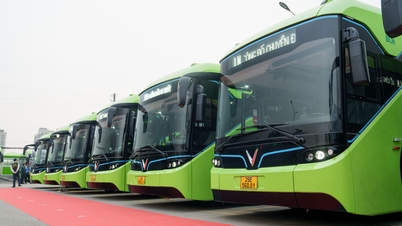 ہنوئی بس کمپنی مکمل طور پر الیکٹرک بسوں کے استعمال میں تبدیل ہو گئی ہے۔