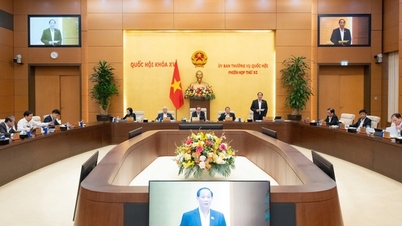 La Comisión Permanente de la Asamblea Nacional emitió opiniones sobre la explicación, aceptación y revisión del proyecto de Ley de Prensa (enmendada)