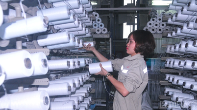 ในช่วง 11 เดือนแรกของปี 2568 การผลิตภาคอุตสาหกรรมในพื้นที่เพิ่มขึ้นเกือบ 8.7%