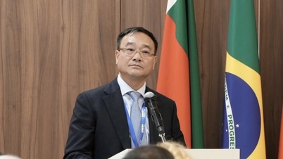 O Vietnã reafirma seu papel ativo na resolução de questões de segurança global.