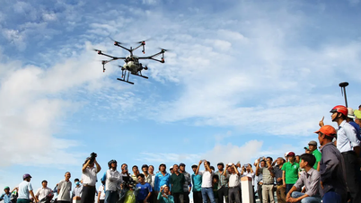 Momentul de aur pentru a crea un ecosistem economic de nivel scăzut