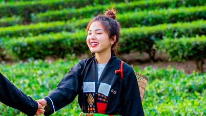 Meminjam hamparan perbukitan teh hijau dan kebun bambu yang luas untuk 'memikat' wisatawan