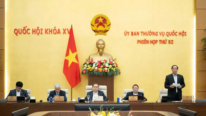 Continue research to allow Hanoi and Ho Chi Minh City to establish key multimedia press agencies
