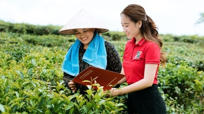 '기업과 농부를 위한 녹색 신용' 워크숍이 곧 진행됩니다.