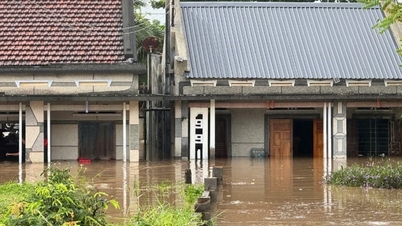 Zware regenval, veel meren overstromen, oostelijk deel van de provincie Lam Dong...