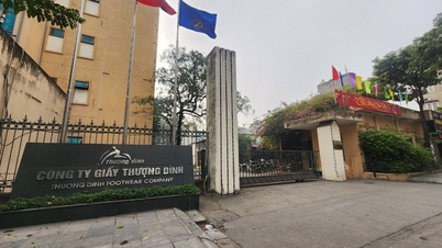 Saham mencecah siling untuk 12 sesi berturut-turut, Thuong Dinh Shoes bercakap untuk menjelaskan