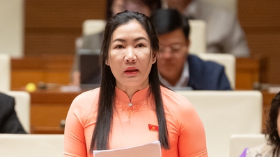 Delegate: Concern about the wave of young workers having to leave their homeland