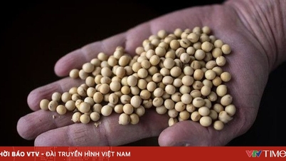 VS versnelt sojabonenexport naar China