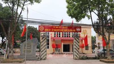 Еще более 9000 домов и земельных участков требуют дальнейшей обработки.