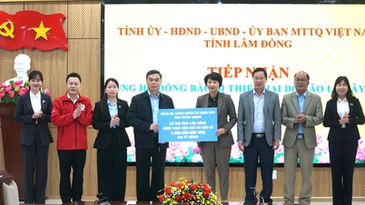 Lâm Đồng tiếp nhận 3 tỷ đồng ủng hộ đồng bào lũ lụt từ tỉnh Tuyên Quang