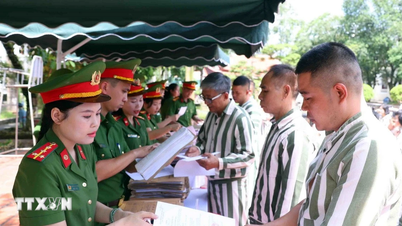 Vice-primeiro-ministro Nguyen Hoa Binh: Sete conquistas por meio do trabalho de anistia em 2025