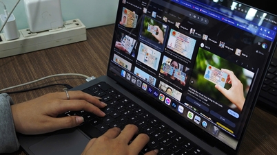 暗号通貨の詐欺や不正行為はすぐにフィルタリングされるのでしょうか?