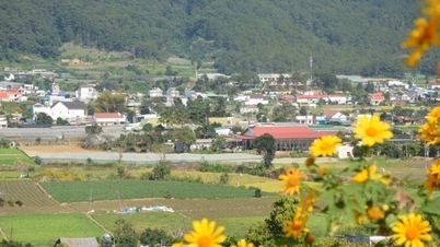 Tarım ve turizmi birbirine bağlayarak çift yönlü katma değerli bir zincir yaratmak