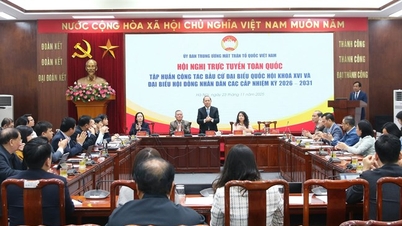 제16대 국회의원과 각급 인민위원회의 대의원 선거에서 베트남 조국전선의 역할을 성공적으로 수행했습니다.