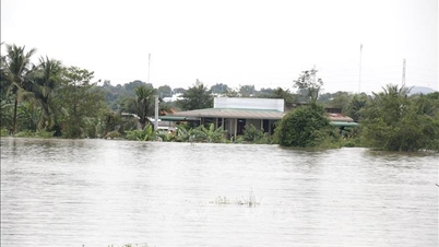 Lam Dong: Lebih dari 1.700 rumah terendam banjir akibat hujan deras