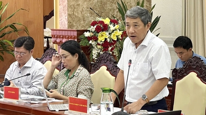 An Giang está determinada a alcançar os melhores resultados na implementação de programas nacionais específicos.