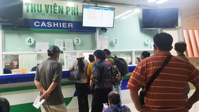 ক্যান্সার রোগীদের জন্য হাসপাতালের ফি তাড়াতাড়ি মওকুফের প্রস্তাব: চূড়ান্ত হাসপাতালের পরিচালক কী বললেন?