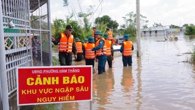 Lam Dong: Ham Thang Mahallesi yaklaşık 1.500 haneyi buraya taşıdı...