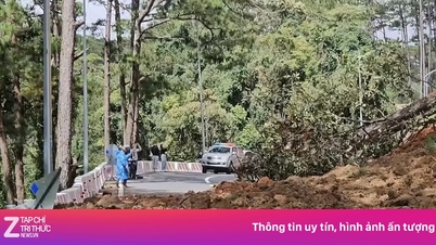 Đèo Prenn, Đà Lạt lại sạt lở