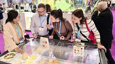 AIG affirms Vietnamese raw material position at Fi Europe 2025