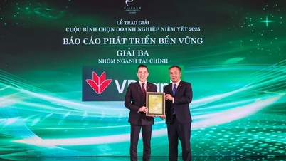 VPBank ganó un 'doble' de premios en VLCA 2025