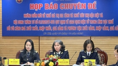 Novedades sobre el impuesto al valor añadido, el impuesto a los consumos especiales y su impacto en las empresas