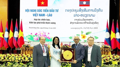 베트남-라오스 투자진흥회의 2025, 사이공투어리스트 그룹 전략적 협력 추진